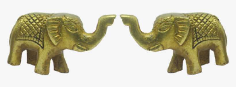 Indian Elephant, transparent png download