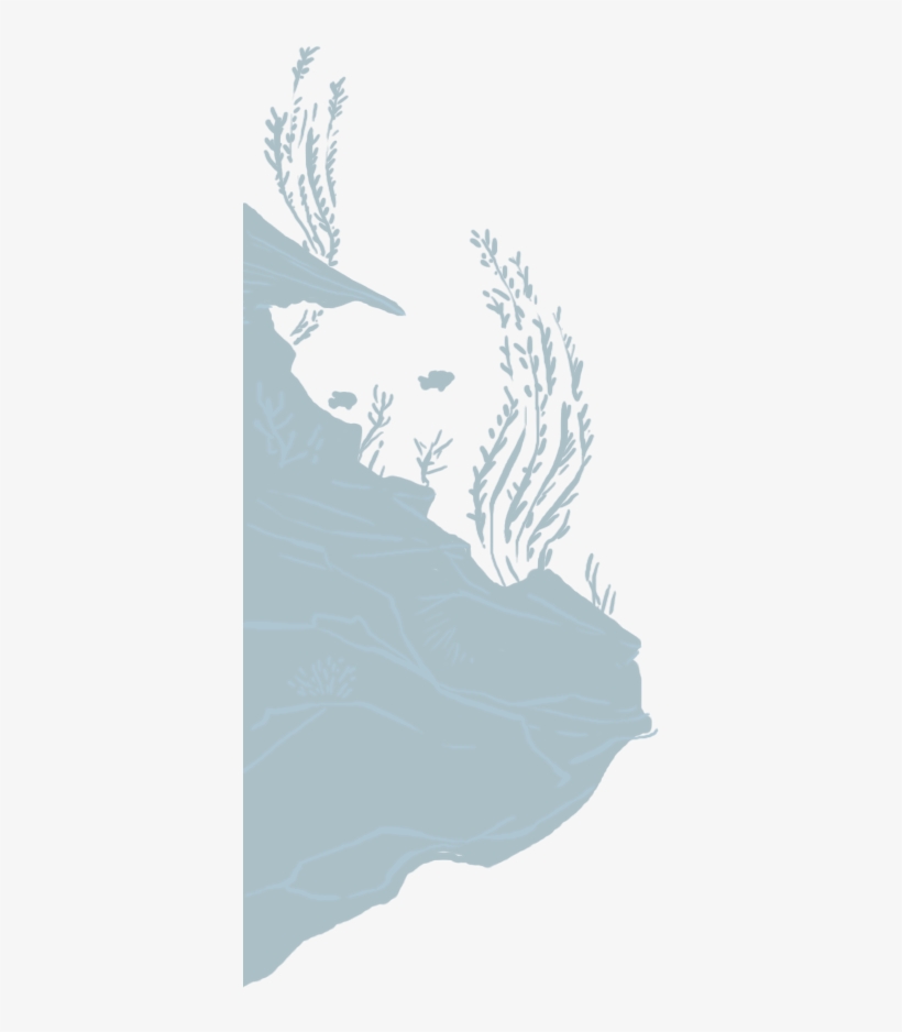 Happy Independece Day - Illustration, transparent png download