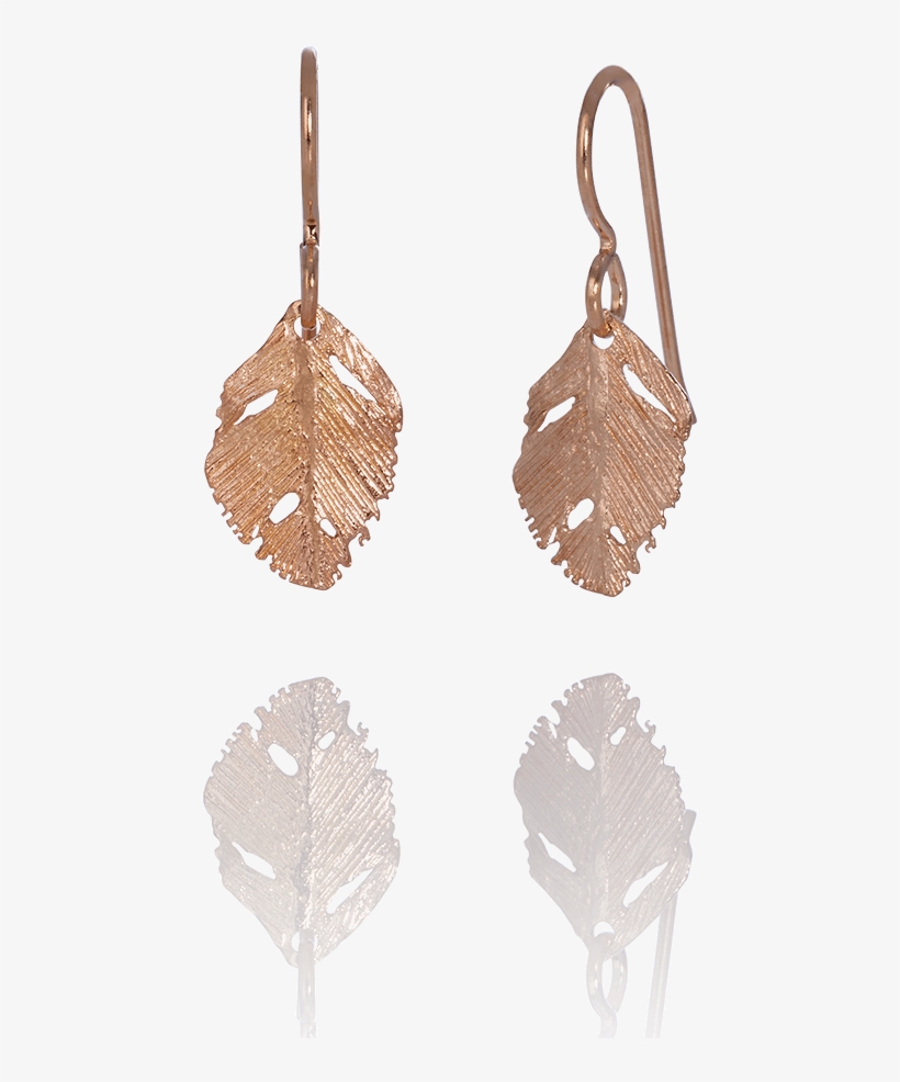 Earrings, transparent png download