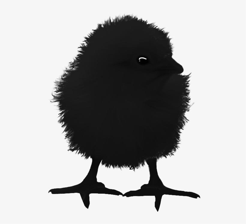 Raven Chick - Illustration, transparent png download