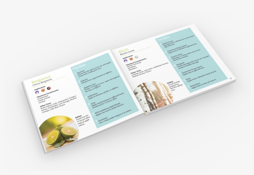 Lime, transparent png download