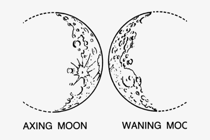 Drawn Moon Crescent - Moon, transparent png download