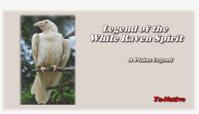 At The Beginning, When The Earth Was Fresh And New, - Rare Animals In Bc, transparent png download