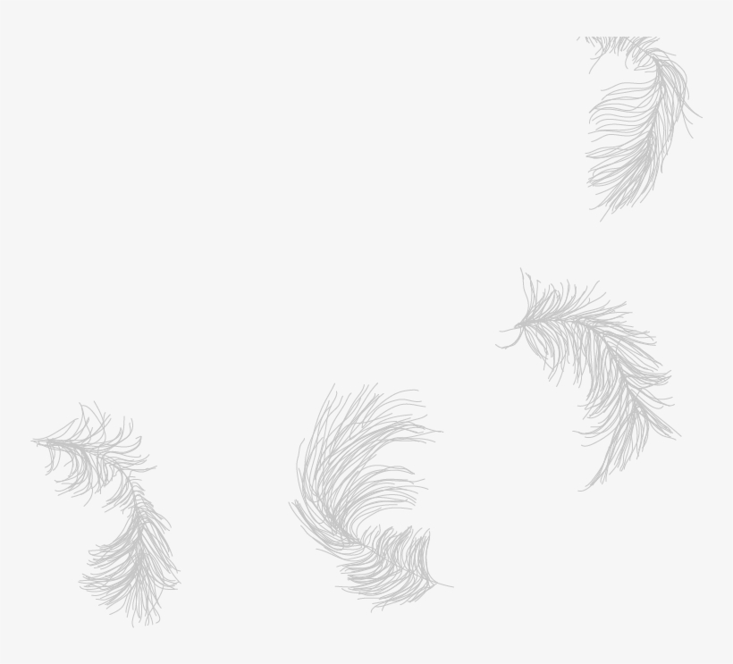 Aboriginal Arts Collective Of Canada - Sketch, transparent png download