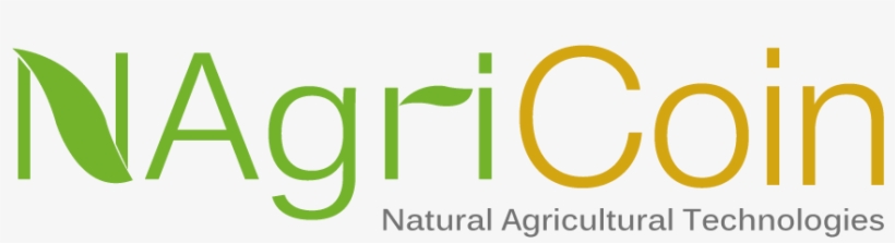 96 - Graphic Design, transparent png download