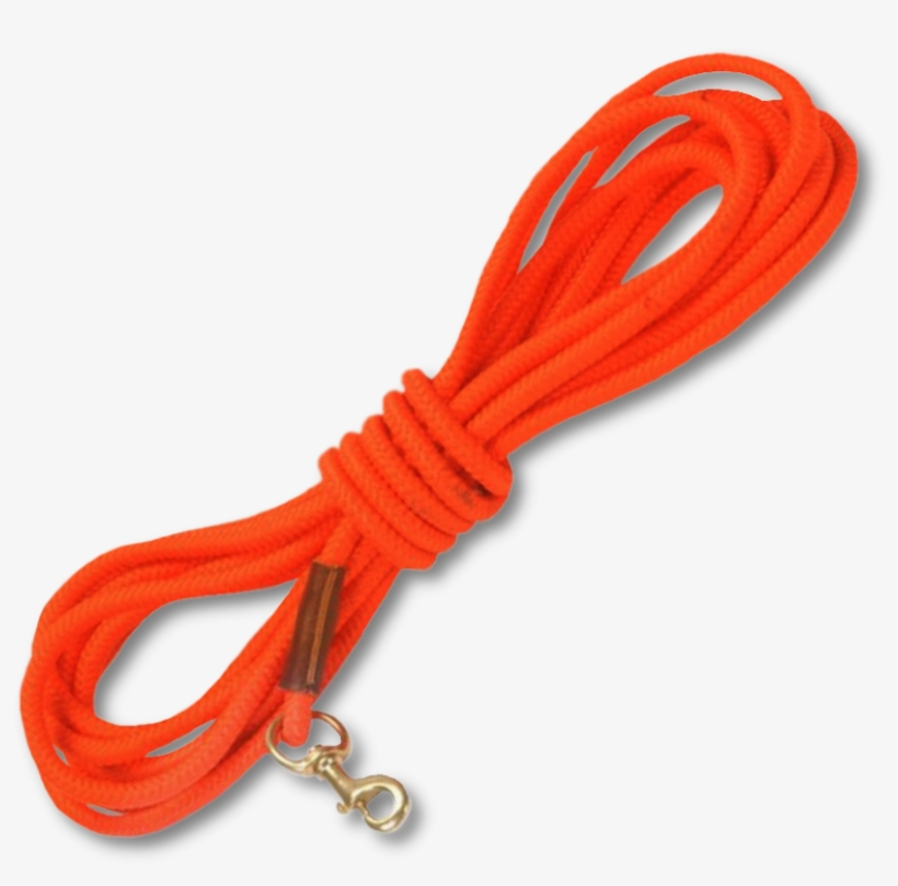 Image Of The Avery Floating Dog Leash Skipping Rope PNG Image