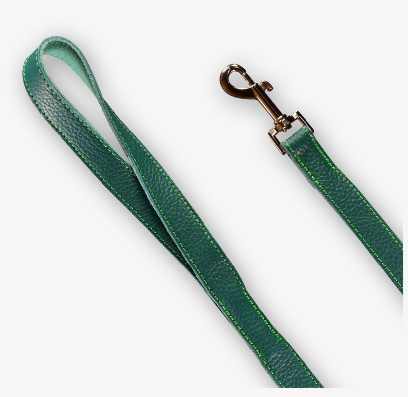 Dog Leash - Zipper, transparent png download