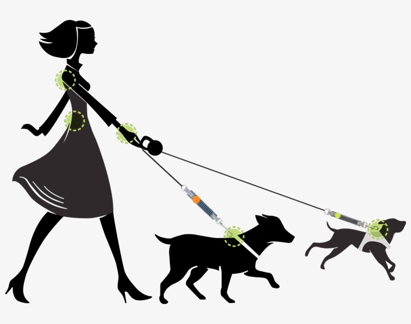 Easy Dog Walk Clipart Freeuse - Dog, transparent png download