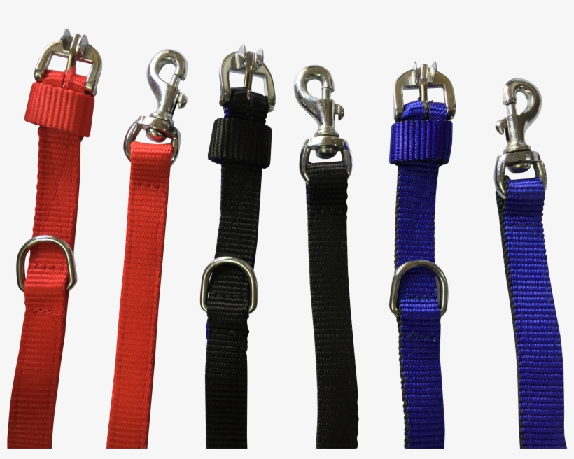 Dog Leash With Collar - Strap, transparent png download