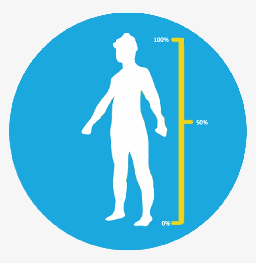 Body Fat Percentage - Body Fat Percentage Clipart, transparent png download
