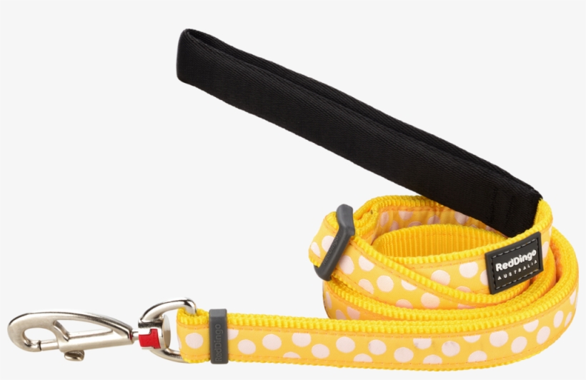 Belt, transparent png download