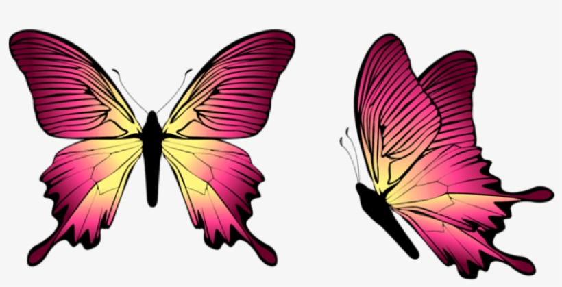 Free Png Download Butterfly Clipart Png Photo Png Images - Transparent Blue Butterfly Png, transparent png download
