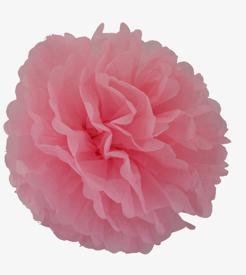 Image - Dahlia, transparent png download