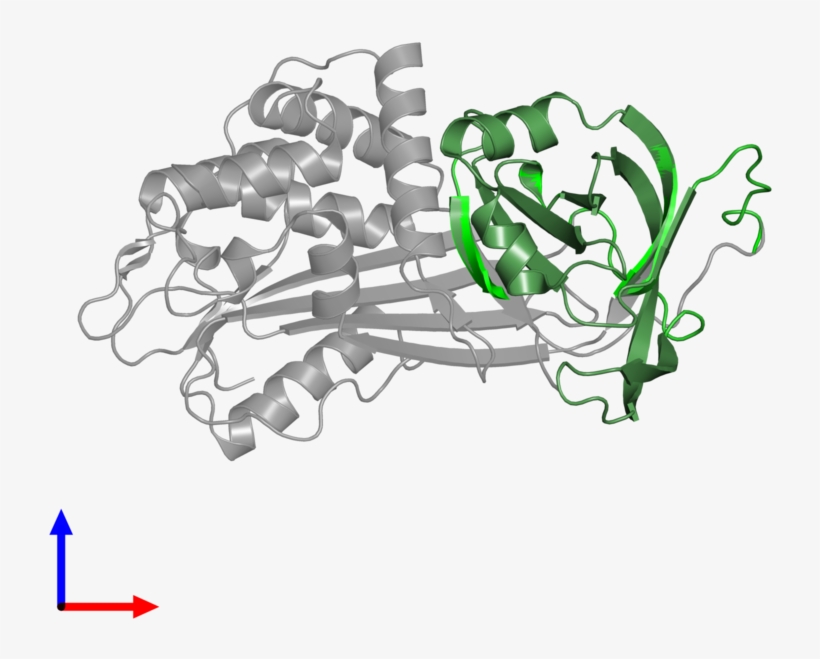 <div Class='caption-body'>1 Copy Of Cath Domain - Illustration, transparent png download