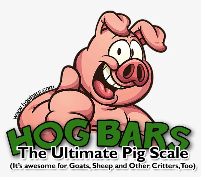 Categories - Cartoon Pig, transparent png download