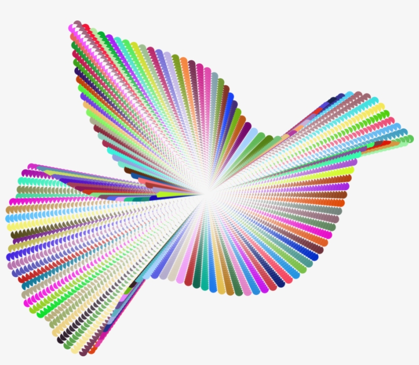 Bird Pigeons And Doves Video Public Domain Animal - Diagram, transparent png download