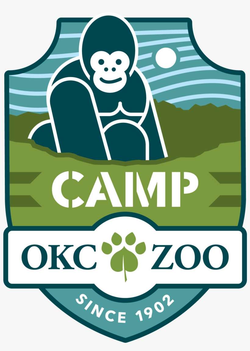 School's Out Day Camps, transparent png download