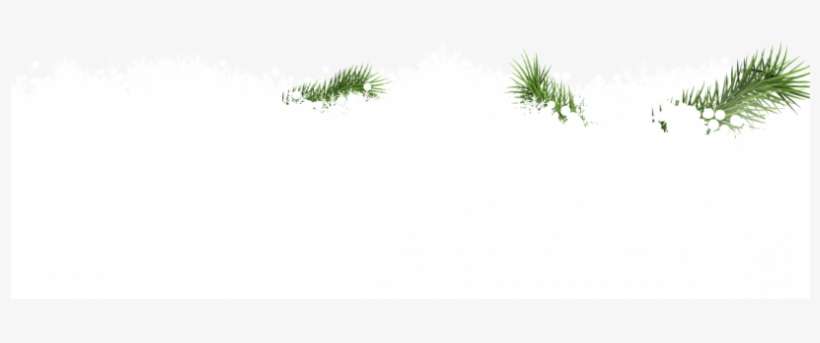 Snow , 2016 03 02 - Darkness, transparent png download