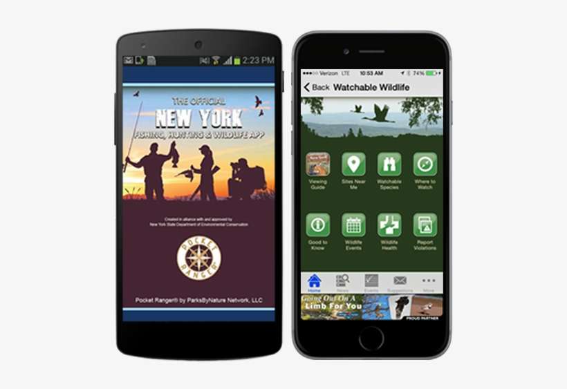 New York Fishing, Hunting & Wildlife App - Iphone, transparent png download