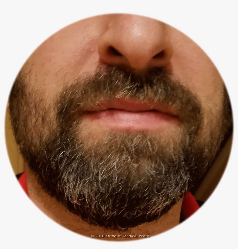 Is This A Reason To Grow A Beard - Close-up, transparent png download