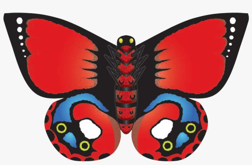 Kite, transparent png download