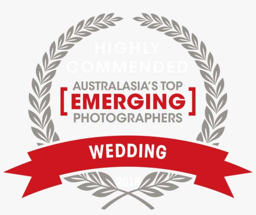 08320 Cph Atep Badges Hc Wedding Hc Wedding - Leaf Circle Border Png, transparent png download