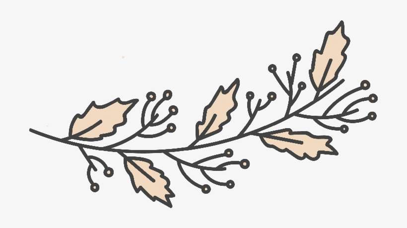 Decorative Divider Branch, transparent png download