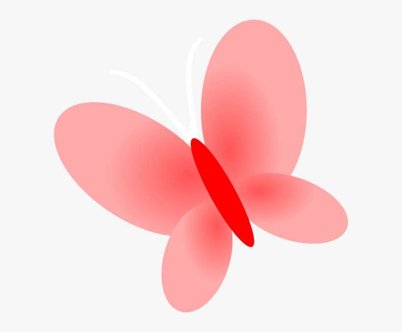 600 X 599 4 - Insect, transparent png download