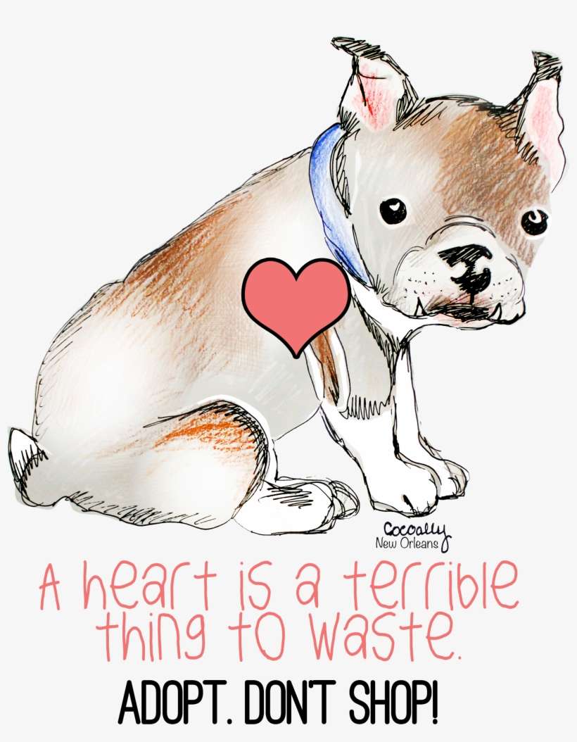 S964877955862669070 P901 I1 W2560 - Dog Licks, transparent png download