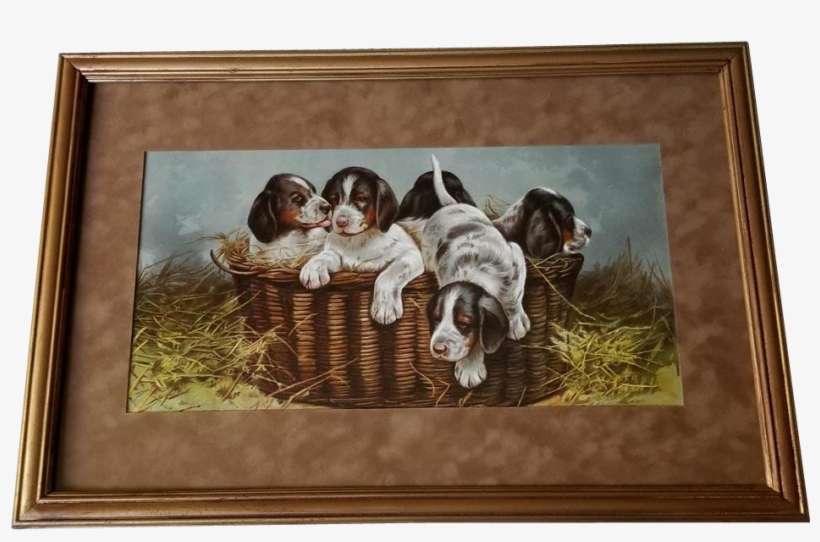 C1895 Puppy Dog Print Narrow Quarters Antique Victorian - Picture Frame, transparent png download