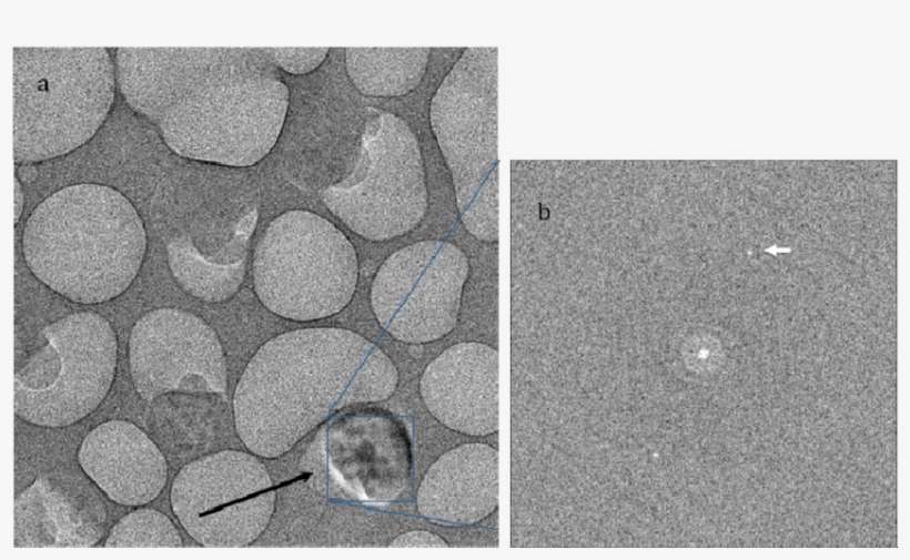 Download - Cobblestone, transparent png download