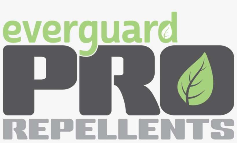 An Invasive New Tick Is Spreading In The U - Graphic Design, transparent png download