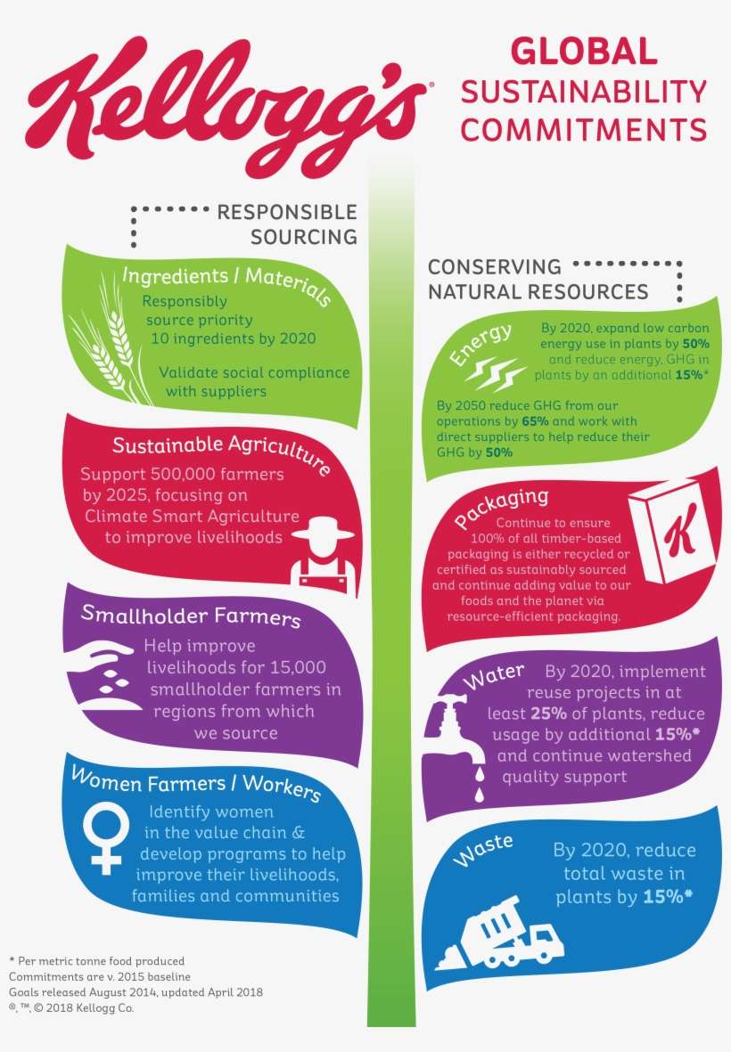 More Information Can Be Found Here - Supply Chain Kellogg's, transparent png download
