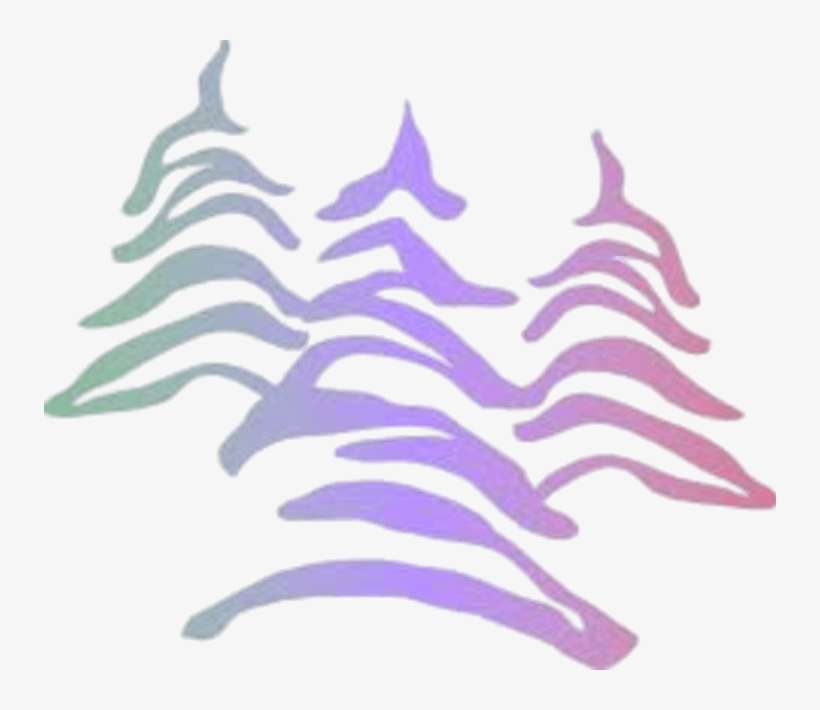 Download - Riding Mountain National Park, transparent png download