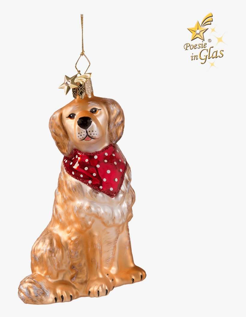 Golden Retriever, transparent png download