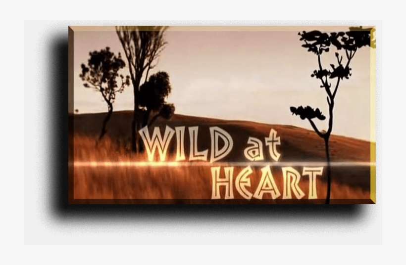 Acting Is All About Finding The Truth Within Whatever - Wild At Heart Tv Series, transparent png download