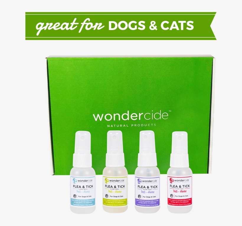 Bottle, transparent png download