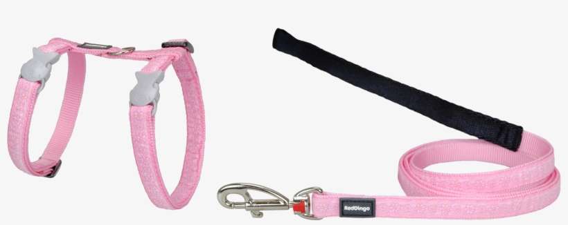 Products - Belt, transparent png download