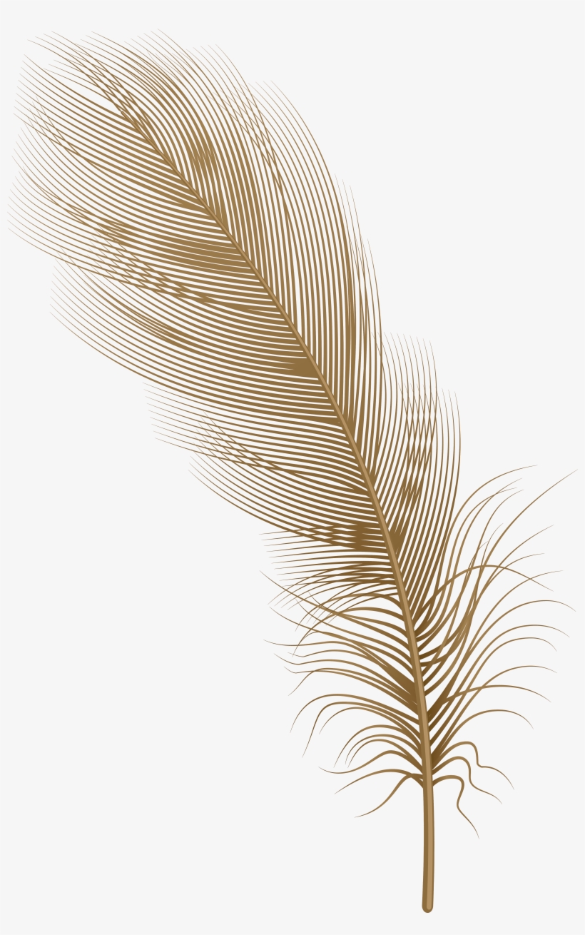 Feather Brown Png Clip Art - Illustration, transparent png download