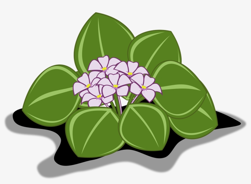 African Violet Clip Art Flor - African Violet Flower Clipart Png, transparent png download
