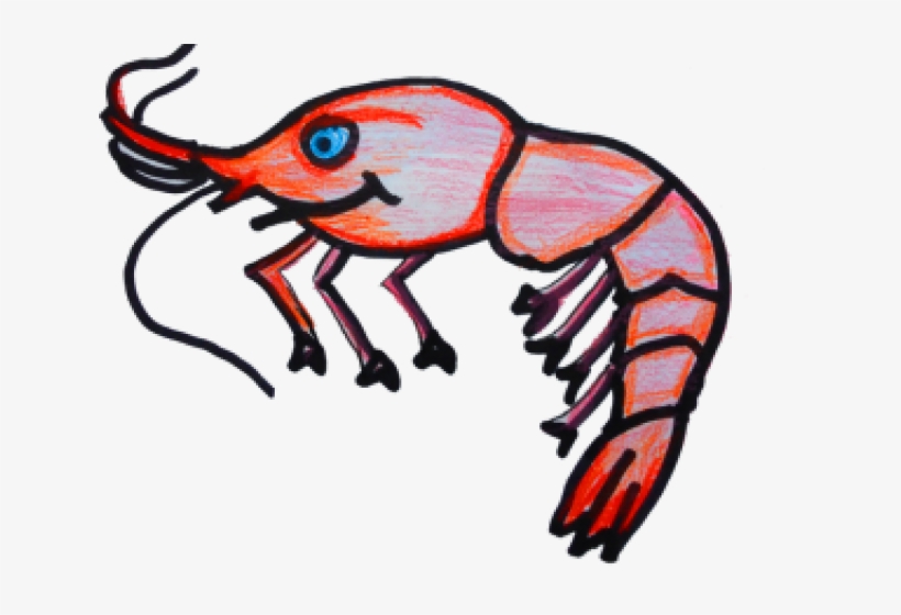 Fish Taco Clipart Mexicanos, transparent png download