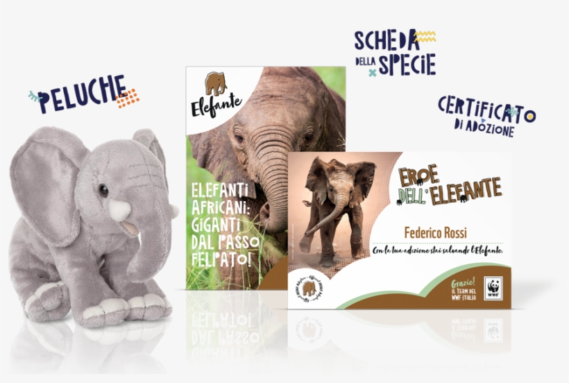 Perché Gli Elefanti Hanno La Proboscide E Come Mai - Kit Peluche Elefante Wwf, transparent png download