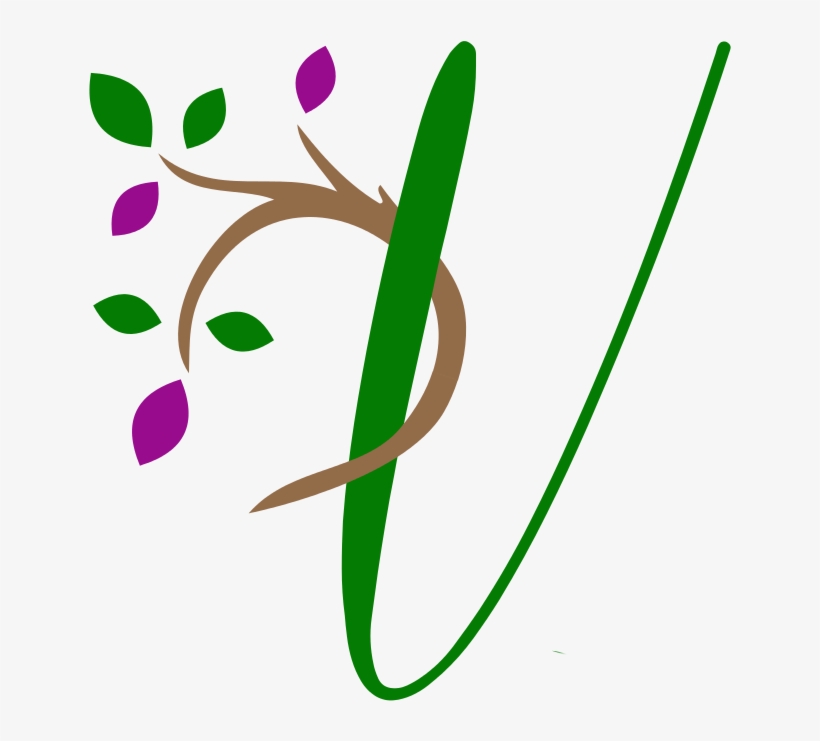 Vita Healthcare Group, transparent png download