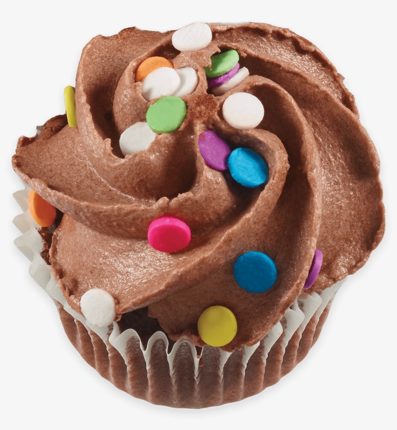 Chocolate Cupcakes - Cupcake, transparent png download