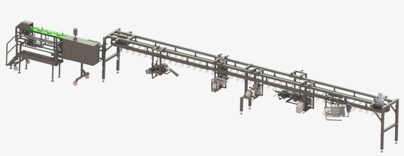 First First - Roller Coaster, transparent png download