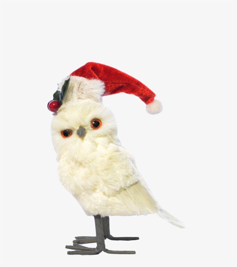 Búho De Pie Blanco Gorro De Navidad - Snowy Owl, transparent png download