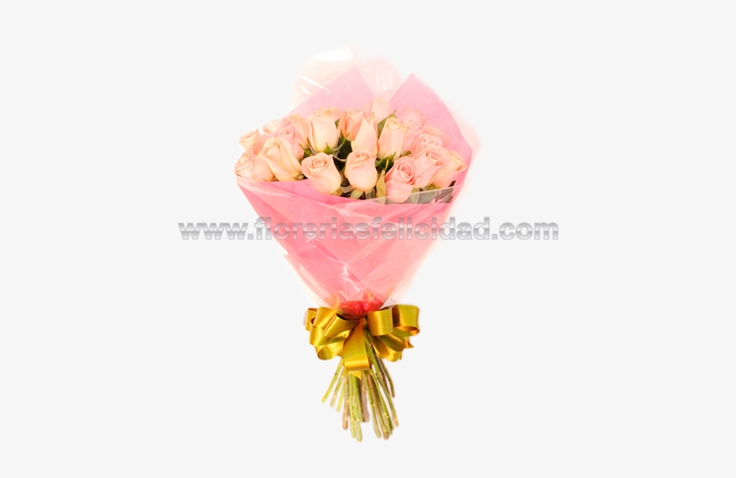Ramo De 24 Rosas Rojas A Domicilio Cdmx - Garden Roses, transparent png download