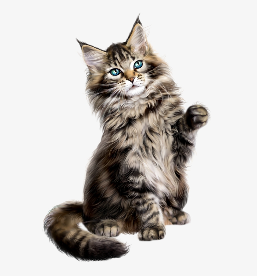 Persian Cat Clipart Gato - Changement D Heure Hiver, transparent png download