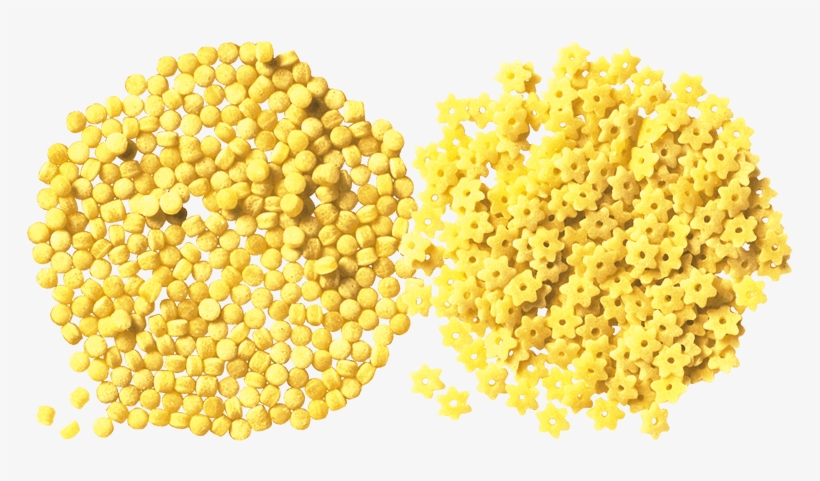 Types Of Shapes The Ultimate An Word - Tiny Pasta, transparent png download