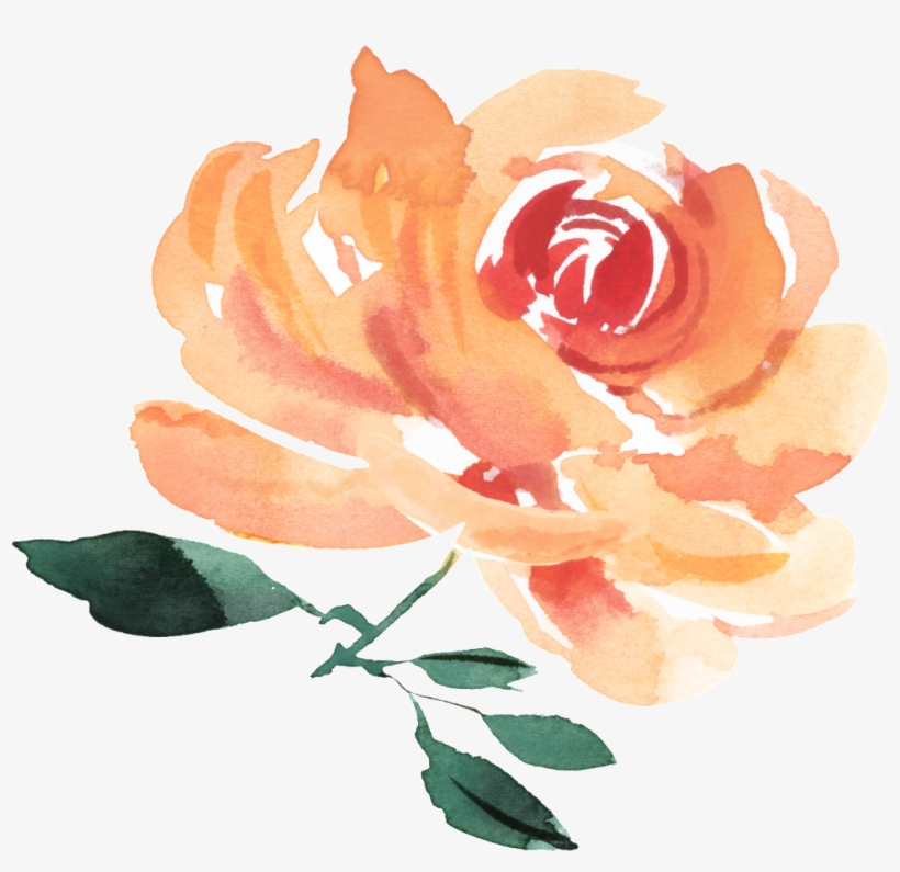 Watercolor Flower - Hybrid Tea Rose, transparent png download